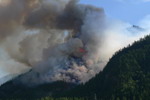 Лесной пожар в Белом Боме